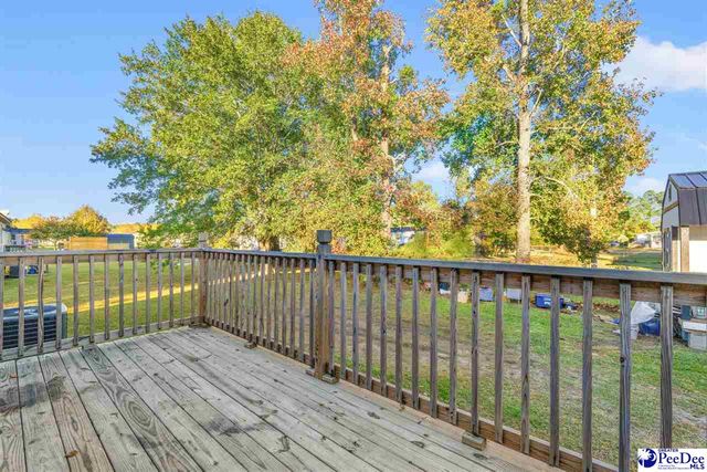 1115 Cartrell Brown Dr, Marion, SC 29571