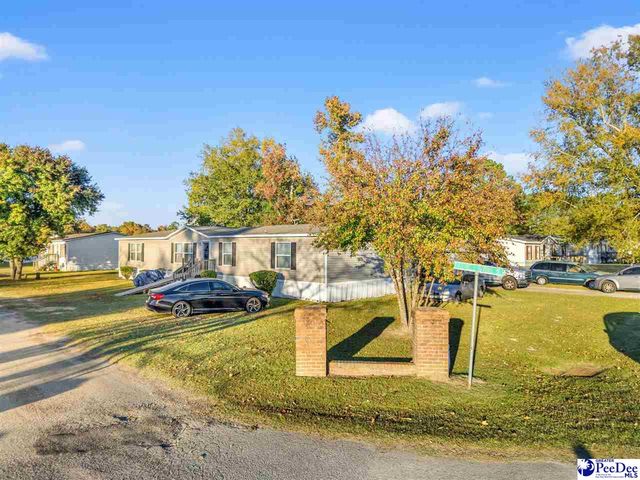 1115 Cartrell Brown Dr, Marion, SC 29571