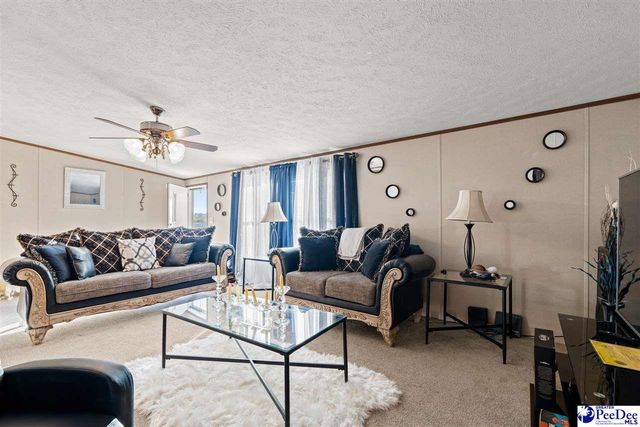 1115 Cartrell Brown Dr, Marion, SC 29571