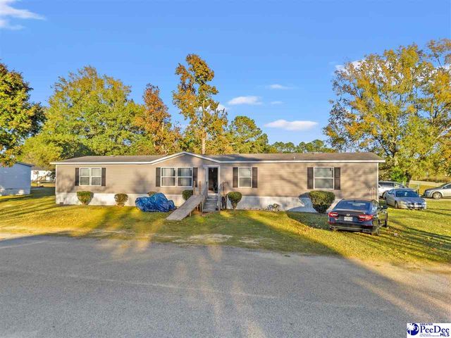 1115 Cartrell Brown Dr, Marion, SC 29571