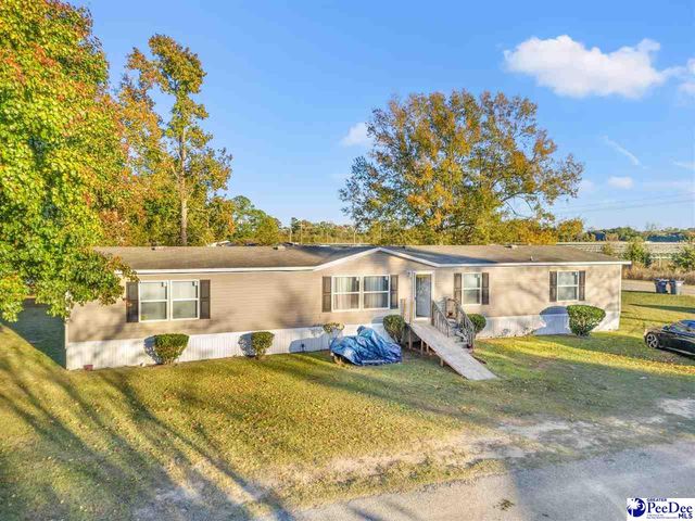 1115 Cartrell Brown Dr, Marion, SC 29571