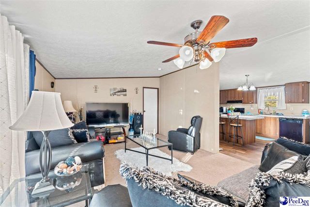 1115 Cartrell Brown Dr, Marion, SC 29571