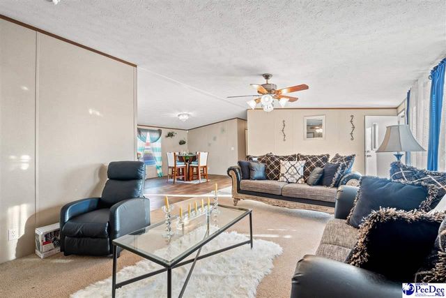 1115 Cartrell Brown Dr, Marion, SC 29571