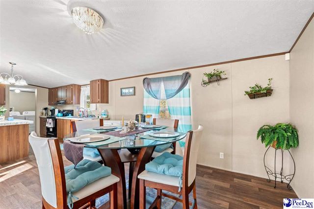 1115 Cartrell Brown Dr, Marion, SC 29571