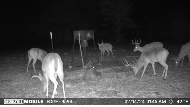 TBD County Road 1103, Athens, TX 75751