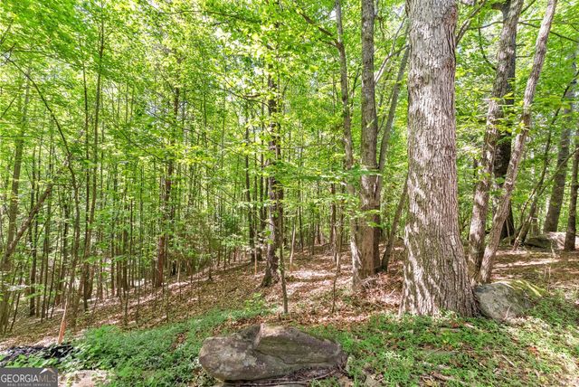 544 Cameron Road, Cleveland, GA 30528