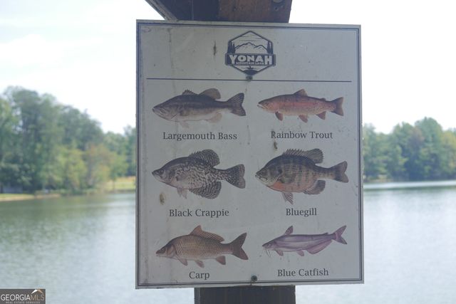 LOT 19 Yonah Lake Drive, Sautee Nacoochee, GA 30571