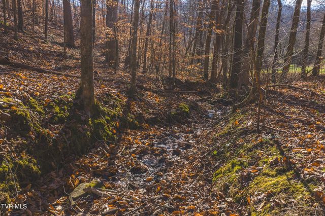 3381 Upper Caney Vallley Road, Tazewell, TN 37879