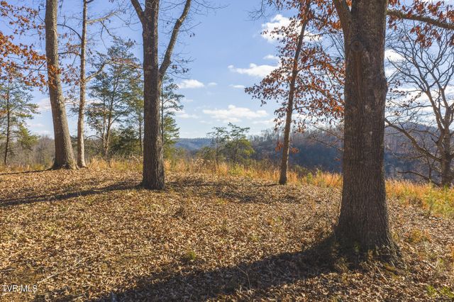 3381 Upper Caney Vallley Road, Tazewell, TN 37879