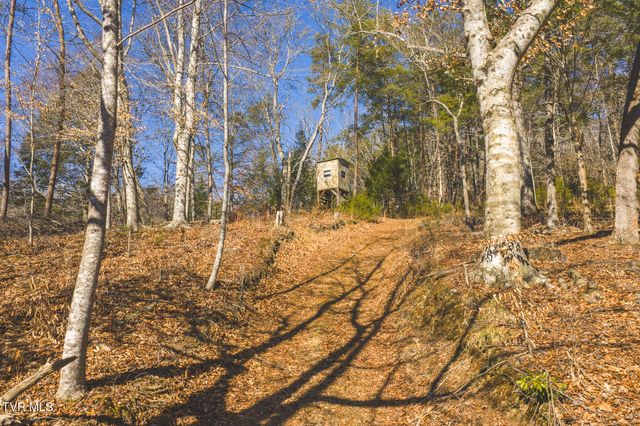 3381 Upper Caney Vallley Road, Tazewell, TN 37879