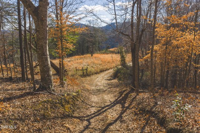 3381 Upper Caney Vallley Road, Tazewell, TN 37879