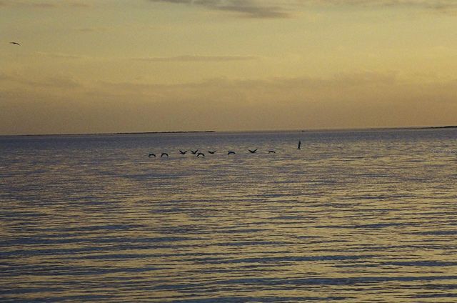 13920 BERKOWITZ AVENUE, Hudson, FL 34667