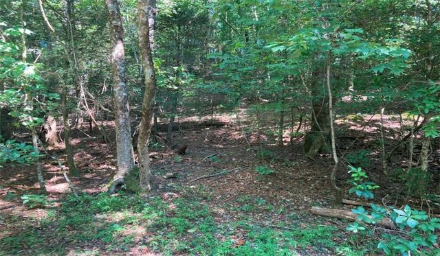 0 Mill Creek Trail, Cleveland, GA 30528