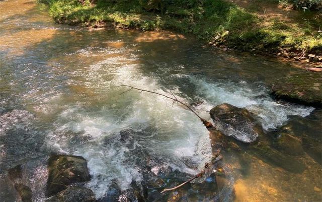 0 Mill Creek Trail, Cleveland, GA 30528
