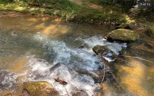 0 Mill Creek Trail, Cleveland, GA 30528