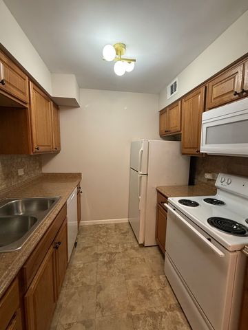 6176 Knoll Lane Court 202, Willowbrook, IL 60527