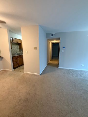 6176 Knoll Lane Court 202, Willowbrook, IL 60527