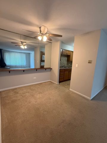 6176 Knoll Lane Court 202, Willowbrook, IL 60527