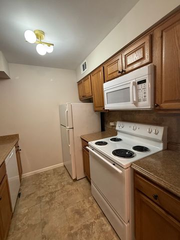 6176 Knoll Lane Court 202, Willowbrook, IL 60527