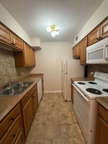 6176 Knoll Lane Court 202, Willowbrook, IL 60527