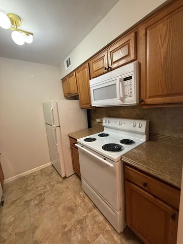 6176 Knoll Lane Court 202, Willowbrook, IL 60527