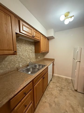 6176 Knoll Lane Court 202, Willowbrook, IL 60527