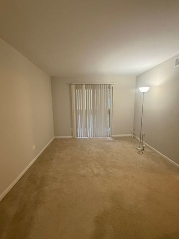 6176 Knoll Lane Court 202, Willowbrook, IL 60527