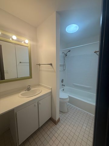 6176 Knoll Lane Court 202, Willowbrook, IL 60527