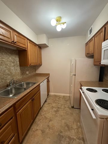 6176 Knoll Lane Court 202, Willowbrook, IL 60527