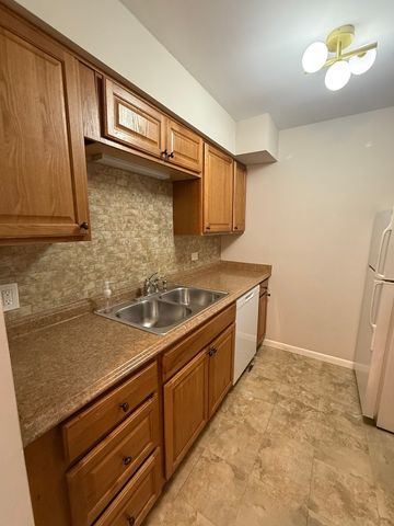 6176 Knoll Lane Court 202, Willowbrook, IL 60527