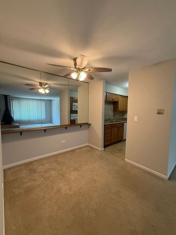 6176 Knoll Lane Court 202, Willowbrook, IL 60527