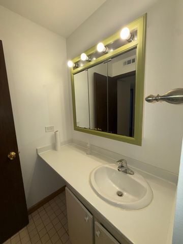 6176 Knoll Lane Court 202, Willowbrook, IL 60527