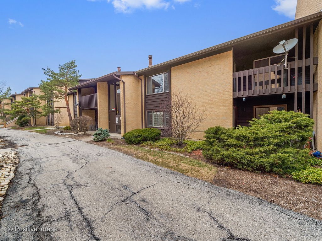 6176 Knoll Lane Court 202, Willowbrook, IL 60527