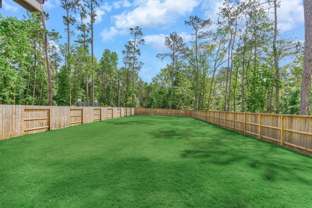 301 Water Tupelo Drive, Montgomery, TX 77316