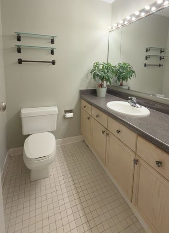 195 N Harbor Drive 3905, Chicago, IL 60601