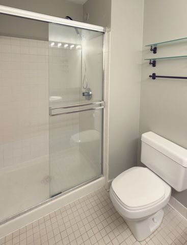 195 N Harbor Drive 3905, Chicago, IL 60601