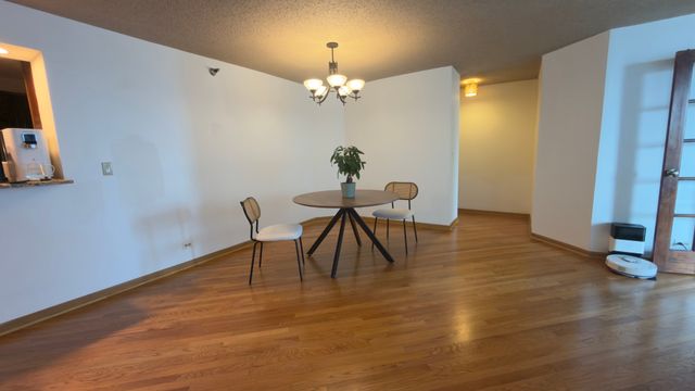 195 N Harbor Drive 3905, Chicago, IL 60601