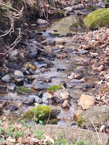 6611 Prysock Avenue, Connelly Springs, NC 28612