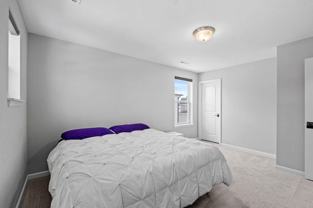 4263 Swallowtail Lane, Woodbury, MN 55129