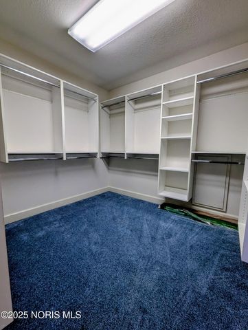 301 N Pointe Drive, Archbold, OH 43502