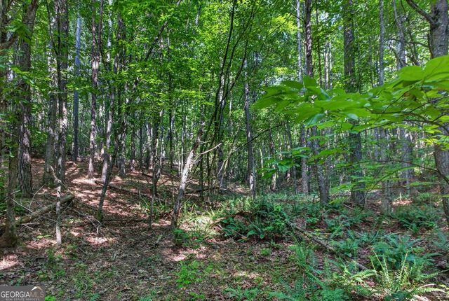 2025 Soap Creek Road, Ball Ground, GA 30107