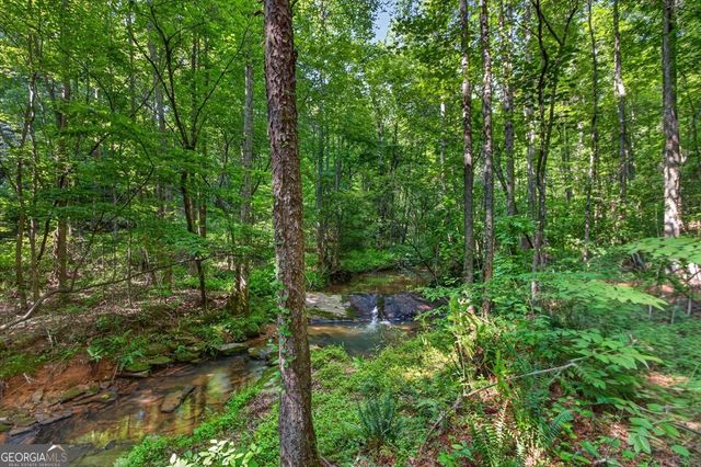 2025 Soap Creek Road, Ball Ground, GA 30107