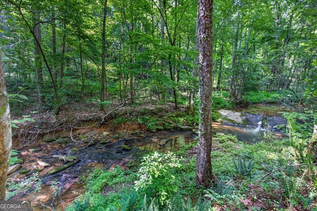 2025 Soap Creek Road, Ball Ground, GA 30107