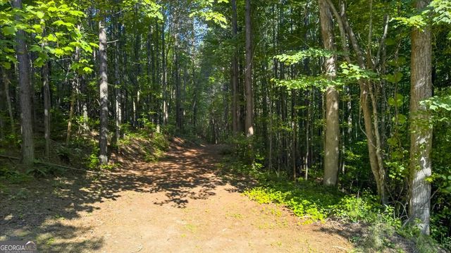 2025 Soap Creek Road, Ball Ground, GA 30107