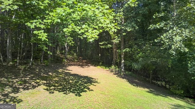 2025 Soap Creek Road, Ball Ground, GA 30107