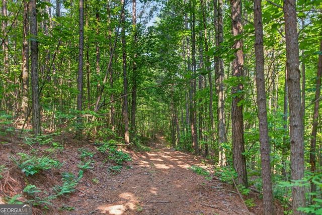 2025 Soap Creek Road, Ball Ground, GA 30107