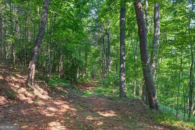 2025 Soap Creek Road, Ball Ground, GA 30107