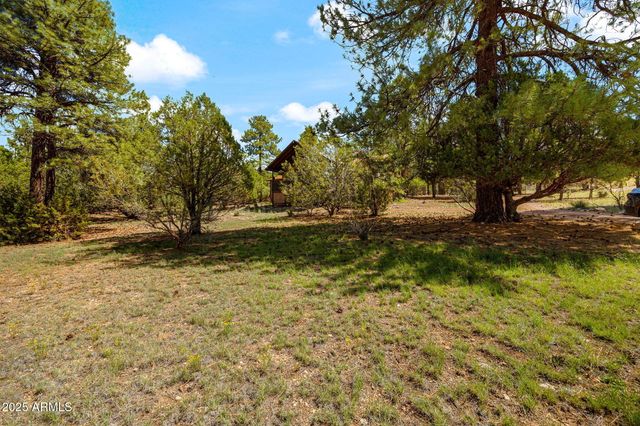 2240 ROUNDABOUT Way, Overgaard, AZ 85933