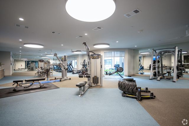 6400 Washington Avenue 319, Houston, TX 77007