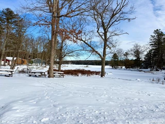 195 W Mohican Trail, Glen Spey, NY 12737